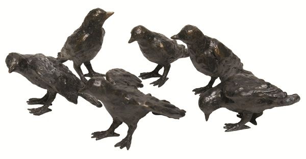 Corvus Bird