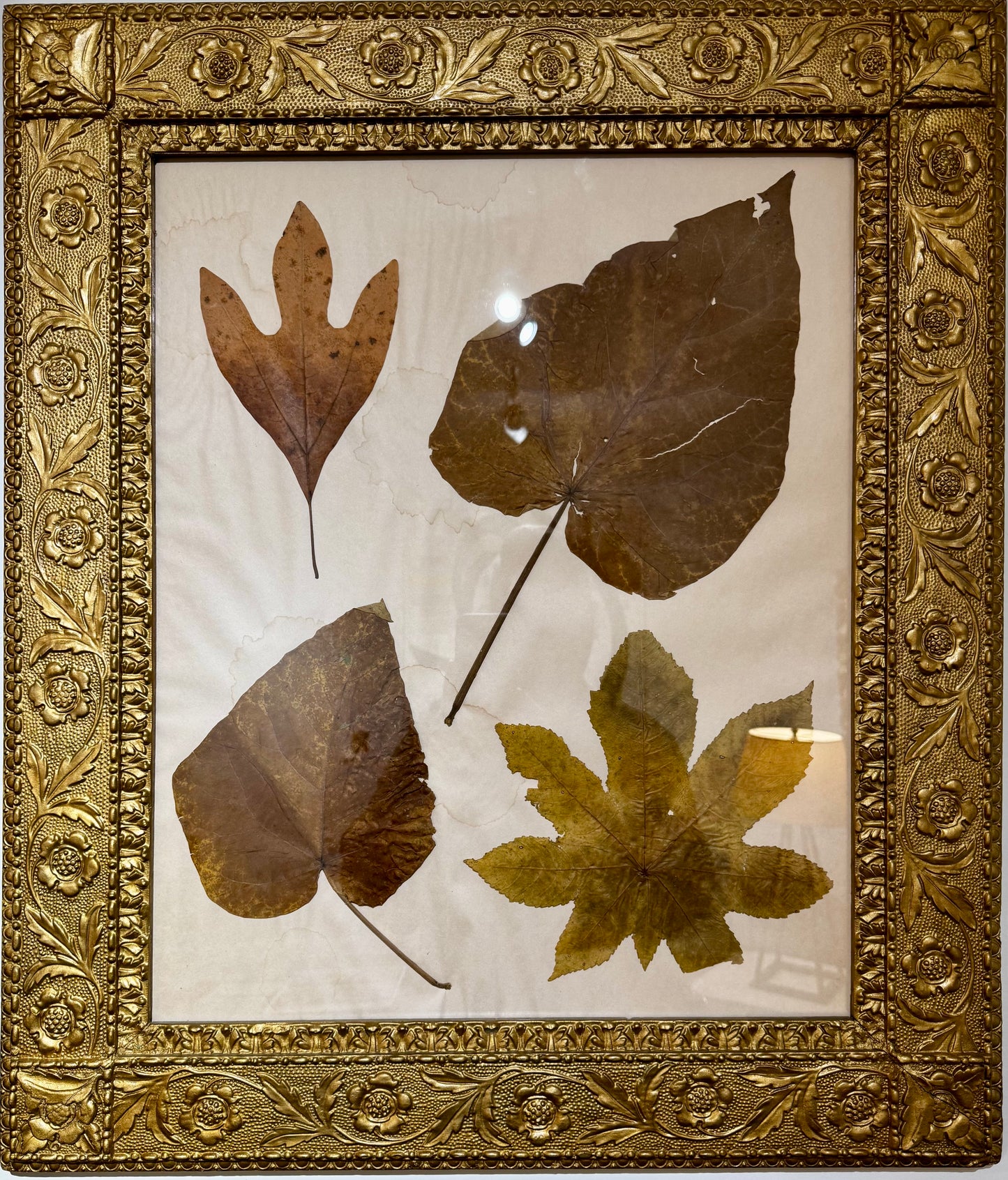 Pressed Leaf Series