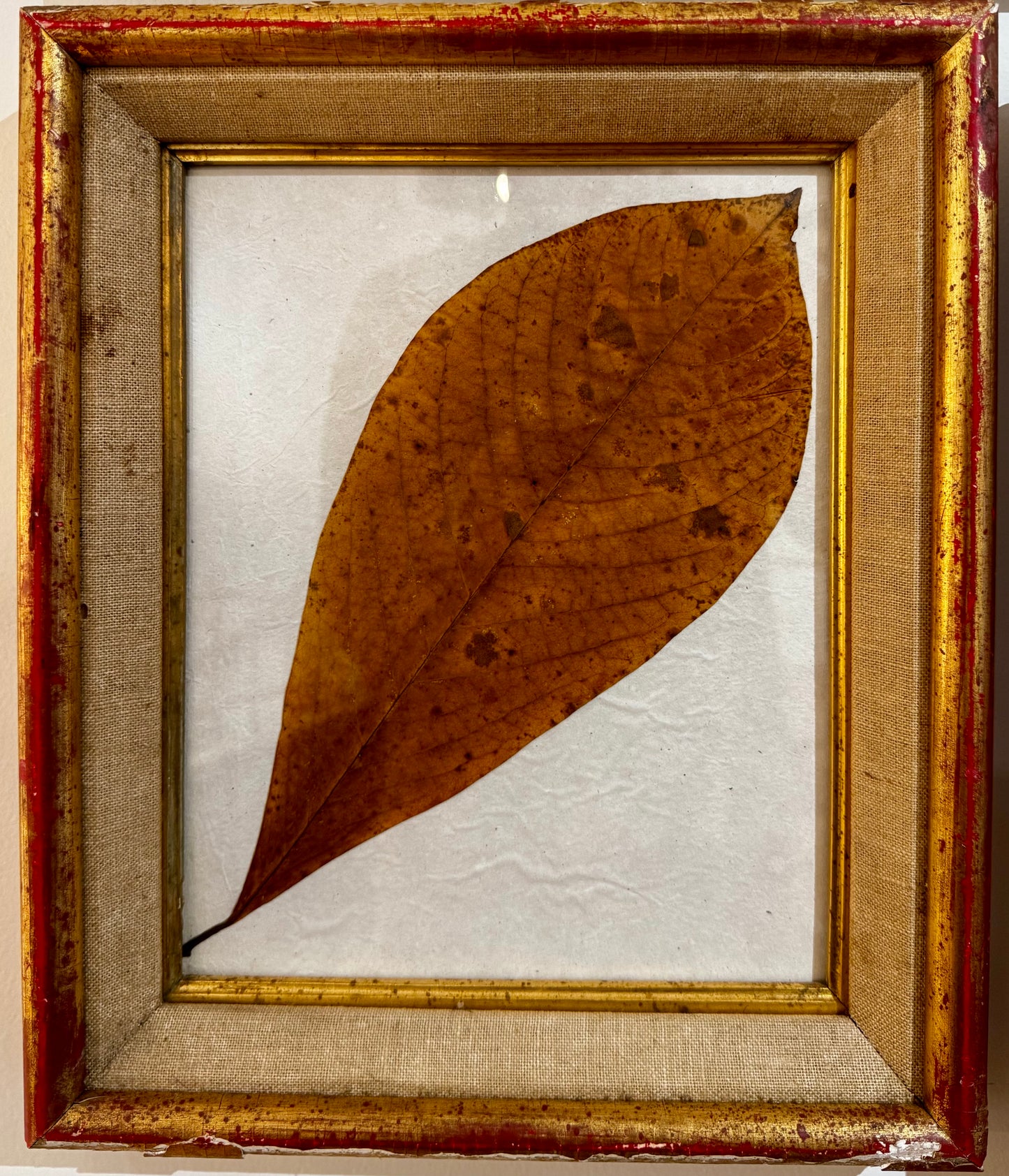 Pressed Leaf Series