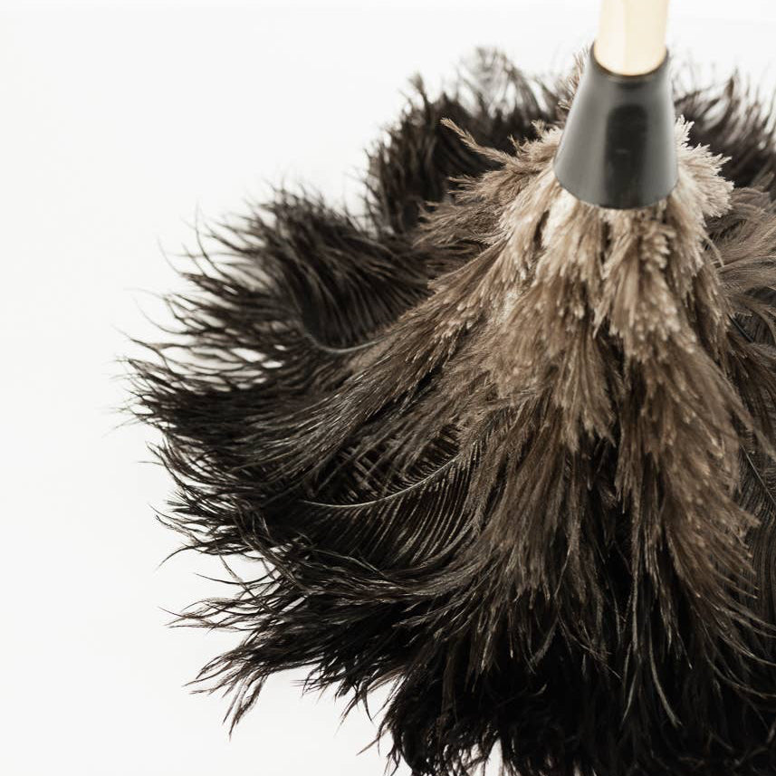Close-up of the feather duster's dark ostrich feathers.